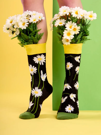 regular-socks-daisies-at-night-23/231a711135c87d7ce9c04d4806e5ec0b2a0d5588