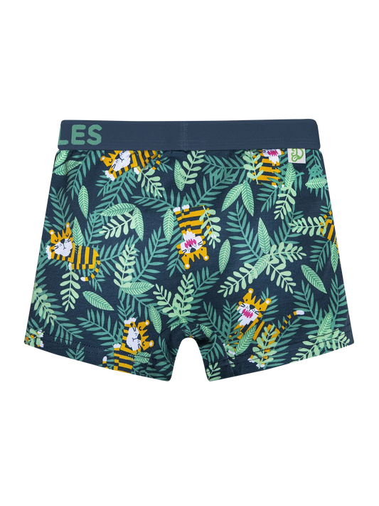 boys-boxers-tiger-47/475da1d35ea25ba1ffce195c672b6544607e2896