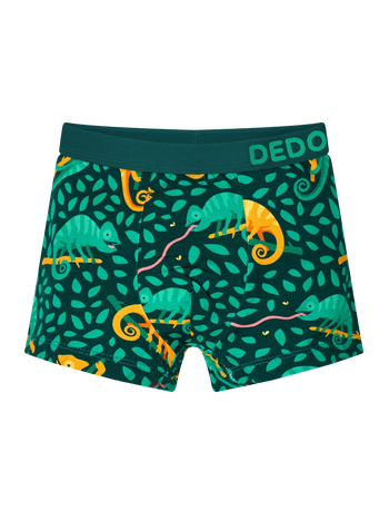 Veselé chlapčenské boxerky Chameleón na love
