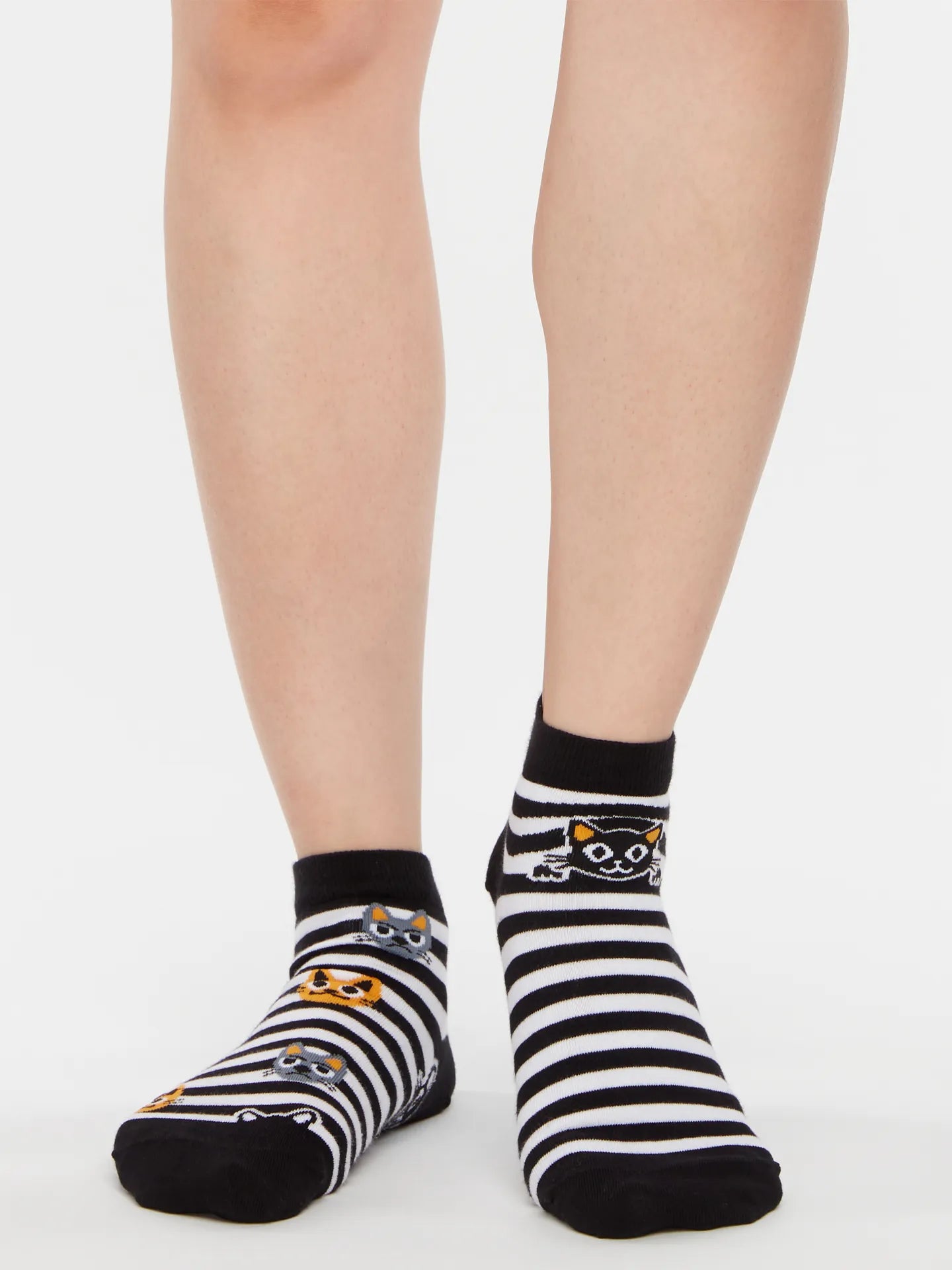 ankle-socks-cats-stripes-02-90/908dfb1f459ceb32f726beebb876df4cf90ac2da
