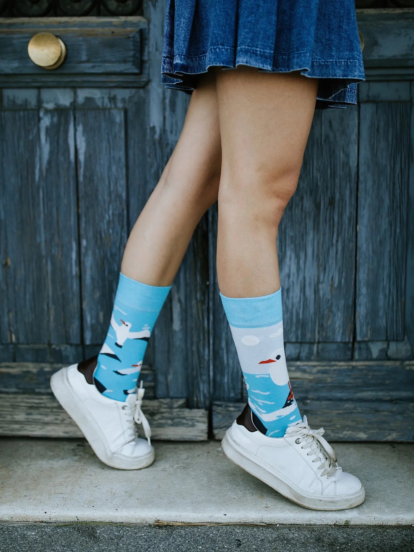 regular-socks-seagull-91/9110efbe661f0fec47cbf03f7c7148eabaace528