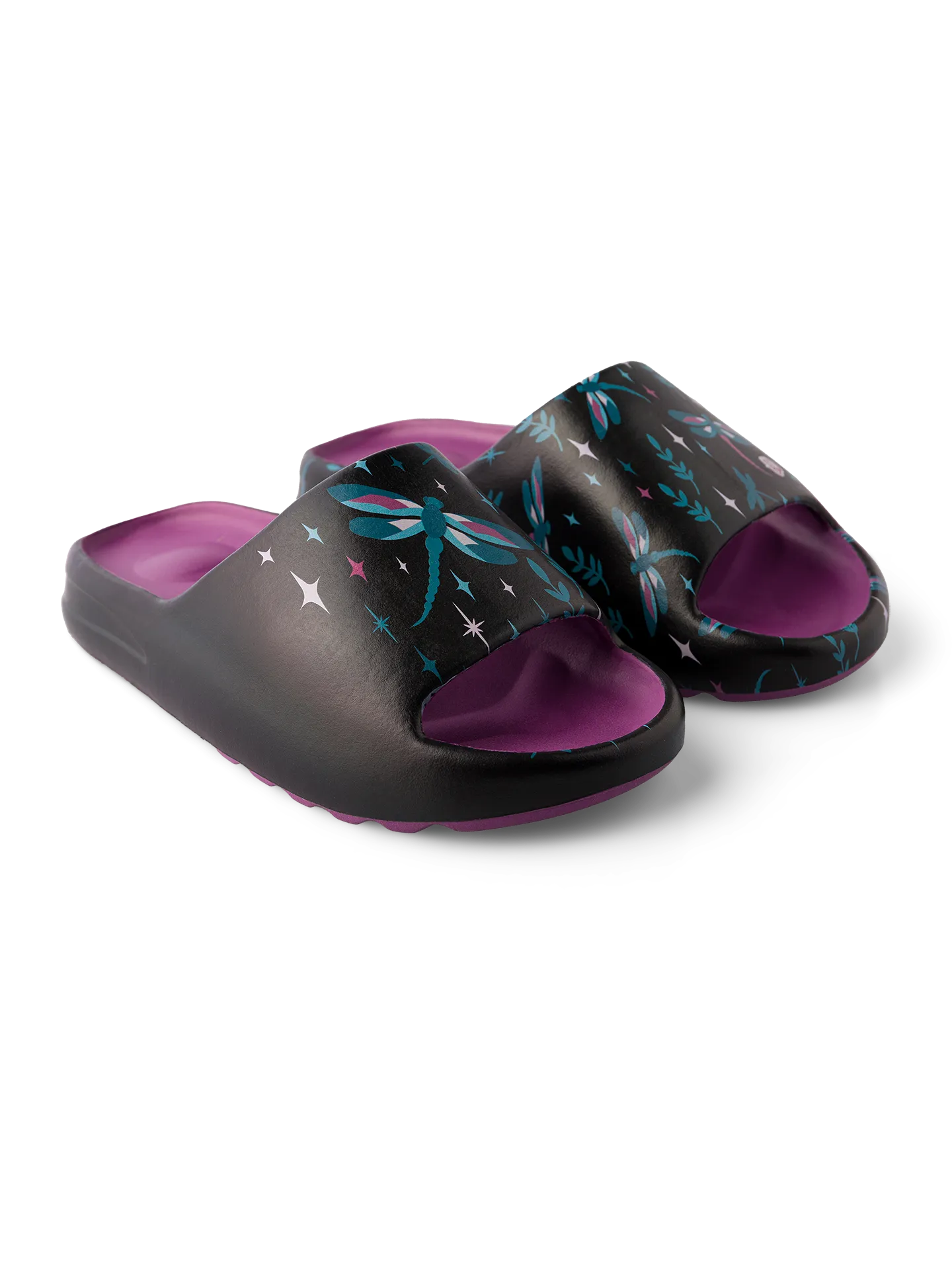 chunky-slides-dragonflies-at-night-9b/9bce1aed386d7148cb229f6c520a8f0708c02d19