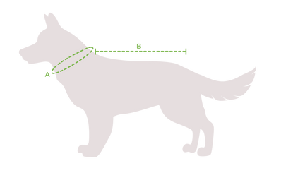 Pršiplášť pre psa