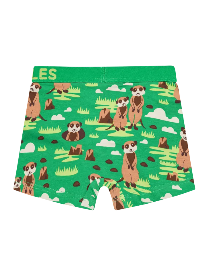 boys-boxers-meerkats-a5/a514bc5dae3e60cc2ba2a07b03f6e729f89ed6e5
