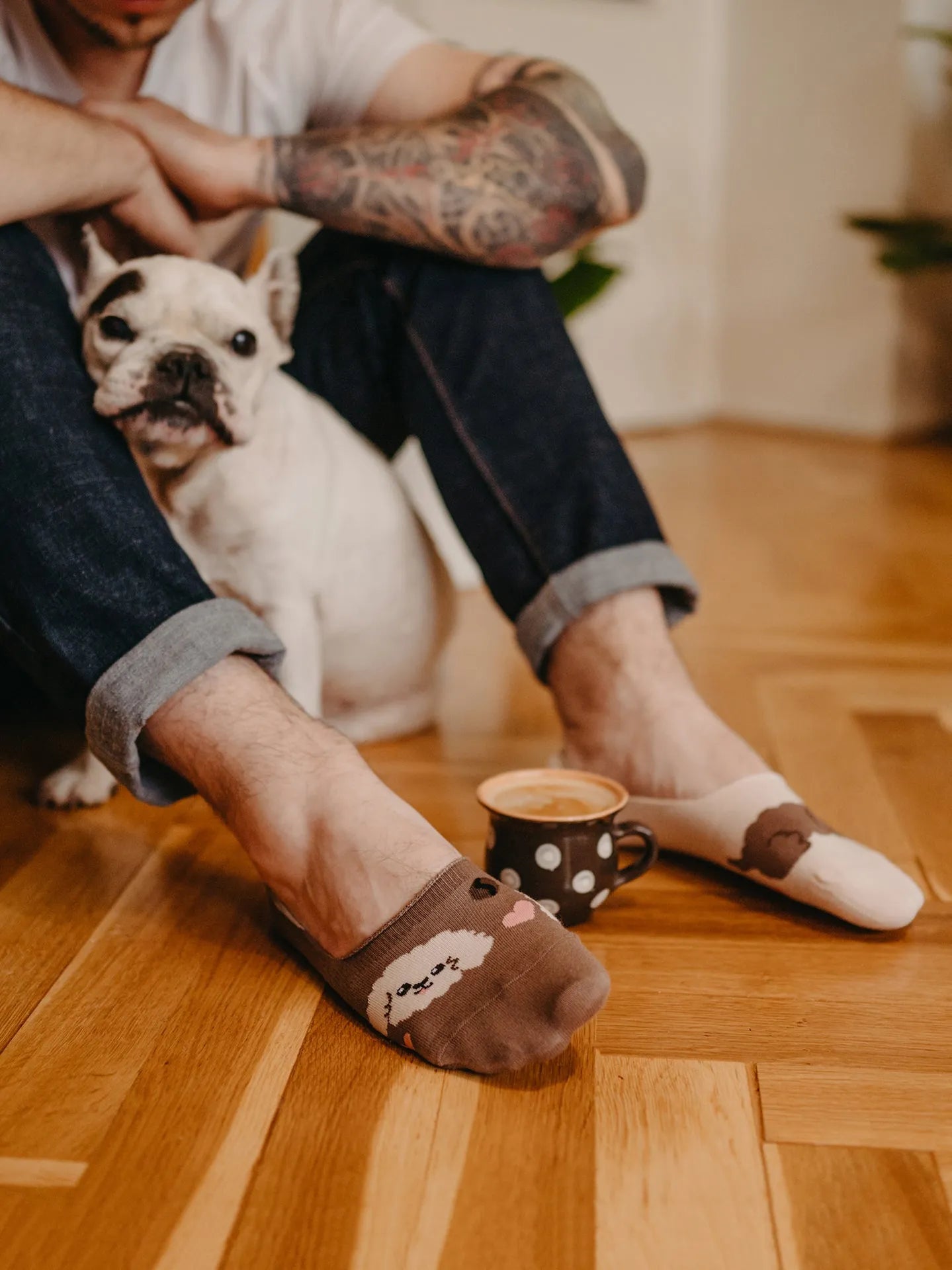 no-show-socks-puppuccino-a8/a86b41cbdbb127da1ed820e91a42d9ccb03b61cd