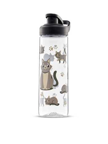 Veselá nápojová fľaša Sivá mačka 700 ml