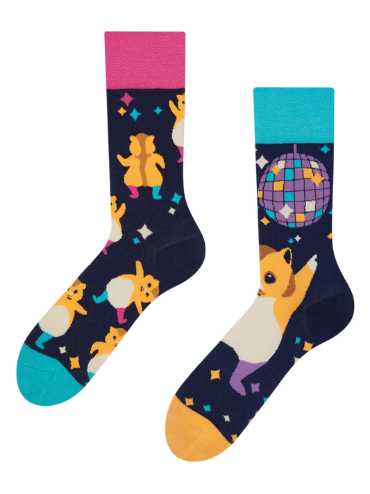 regular-socks-party-hamsters-b5/b5fe9b2d26a6ce692facec6857c866a13ee4745d