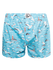 mens-boxer-shorts-seagull-ba/ba8f1300f940cae8910cd7ee0b957cdba6463360