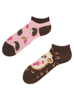 ankle-socks-hedgehog-bd/bd545d76c5cb924f7824fe23dfbb6021631ff418