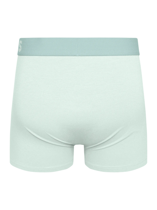 mint-green-mens-trunks-cb/cb52ca28c107140145df1536c89a8e93942aa526