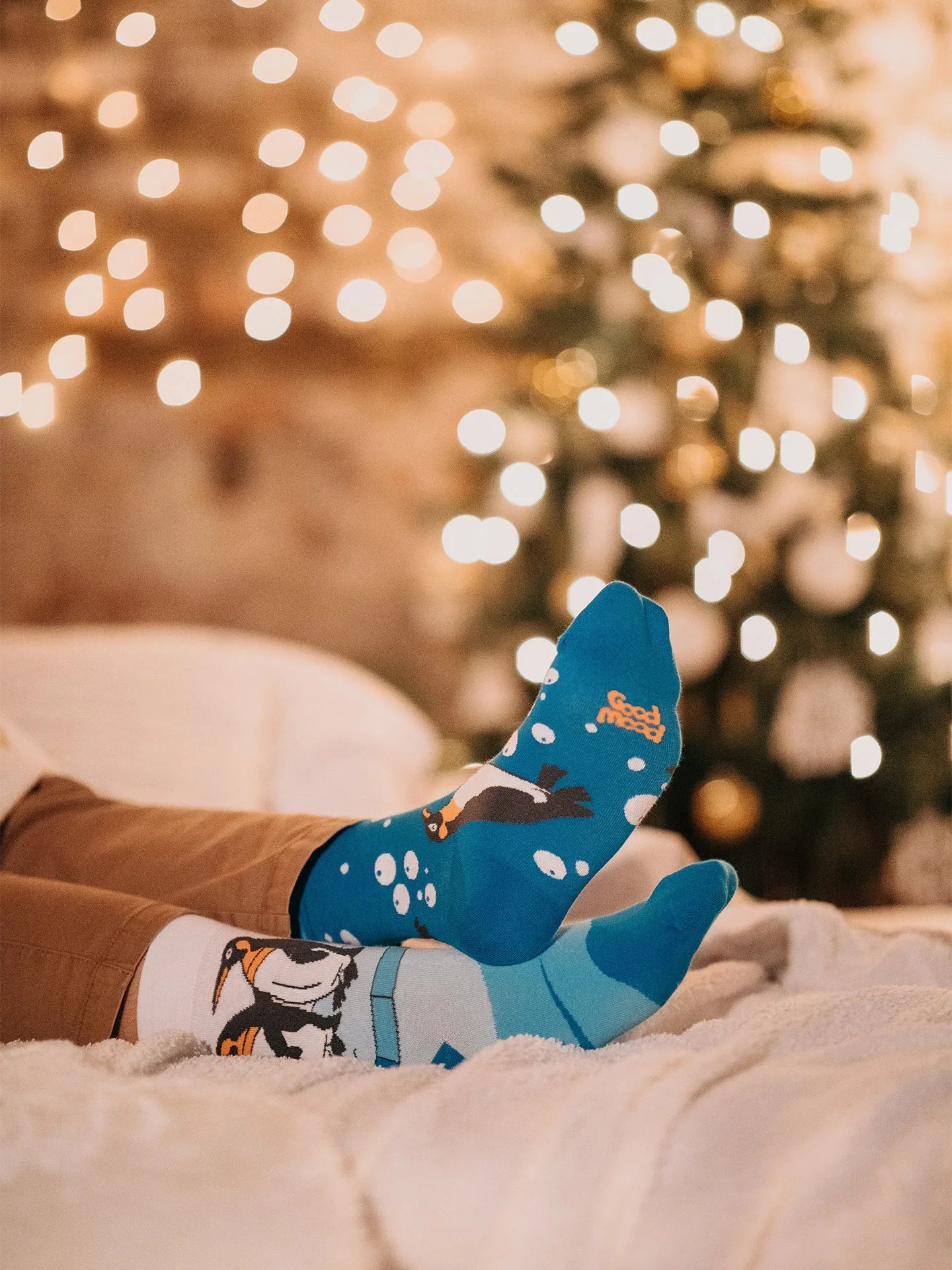 regular-socks-penguins-cc/cc7763db51e875c28205c0f2b46a49fdffd01a9b