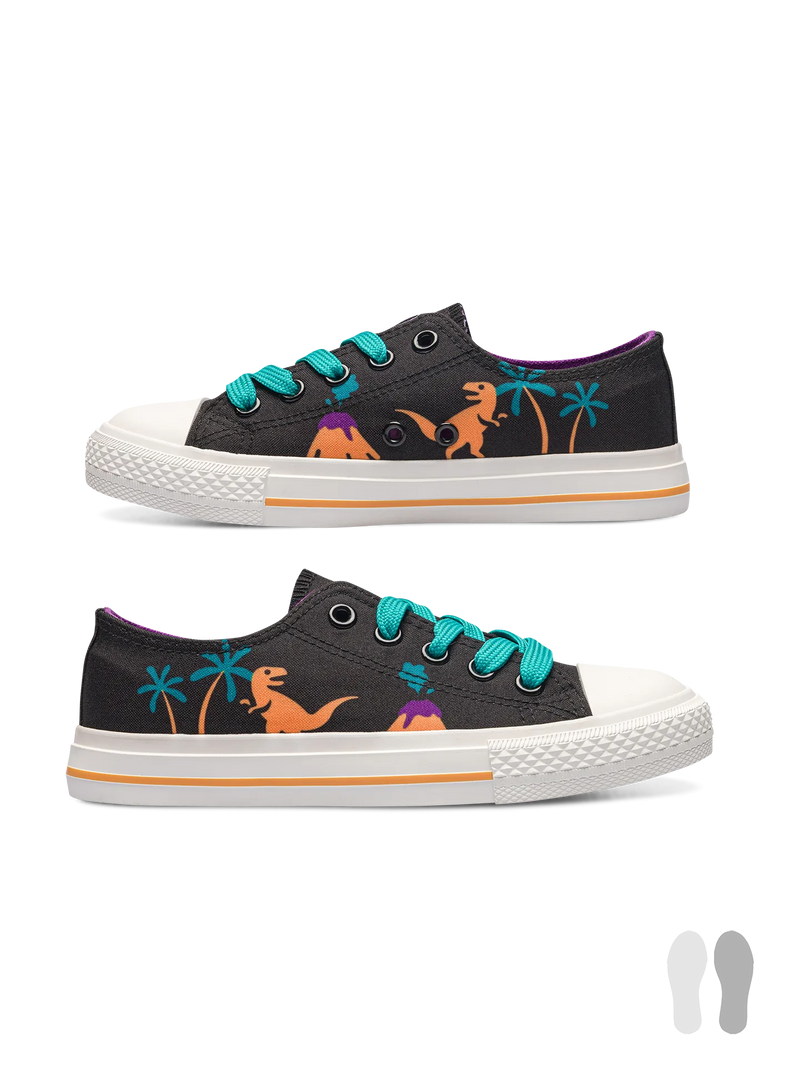 kids-canvas-shoes-dinos-volcanos-ce/ce7ca636ba120caf2c73d07983972a30776ce999