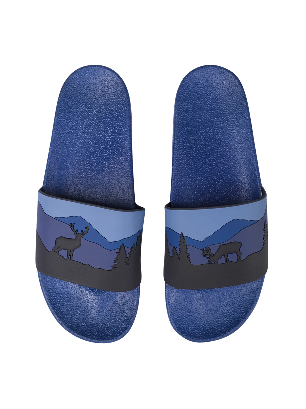 slides-deer-in-forest-d1/d1522351dcec11813ee5da418a66e2a03584ac04