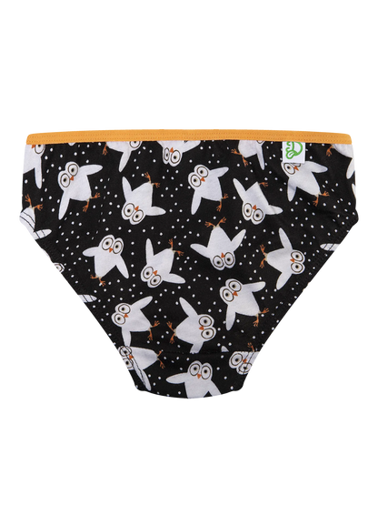 girls-briefs-owls-d5/d5208396c070f56c9b06f8f53a826fd2b3d2c4f7