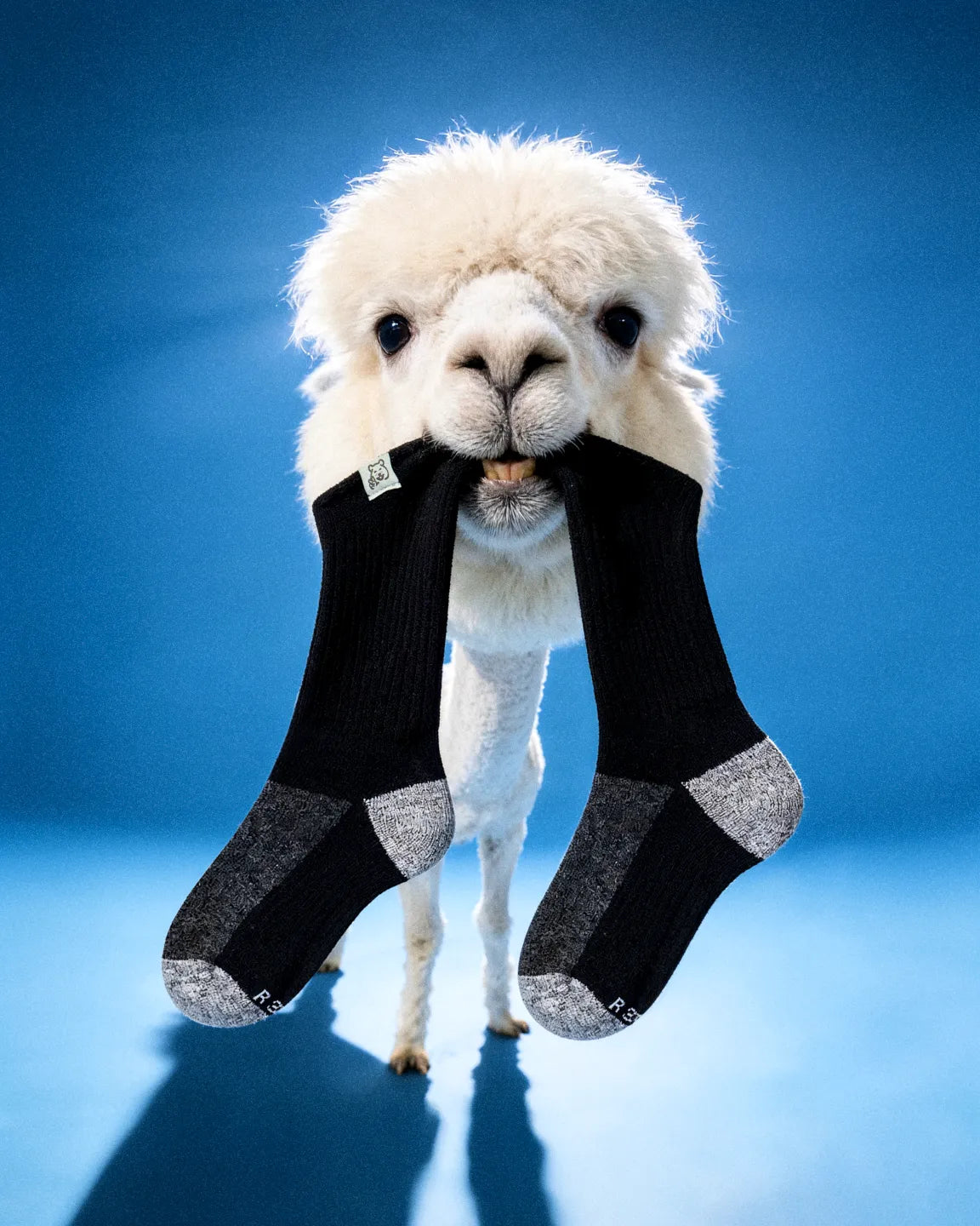 black-grey-alpaca-socks-e3/e3702e0436ecb885e76a969184686125a26a7c71