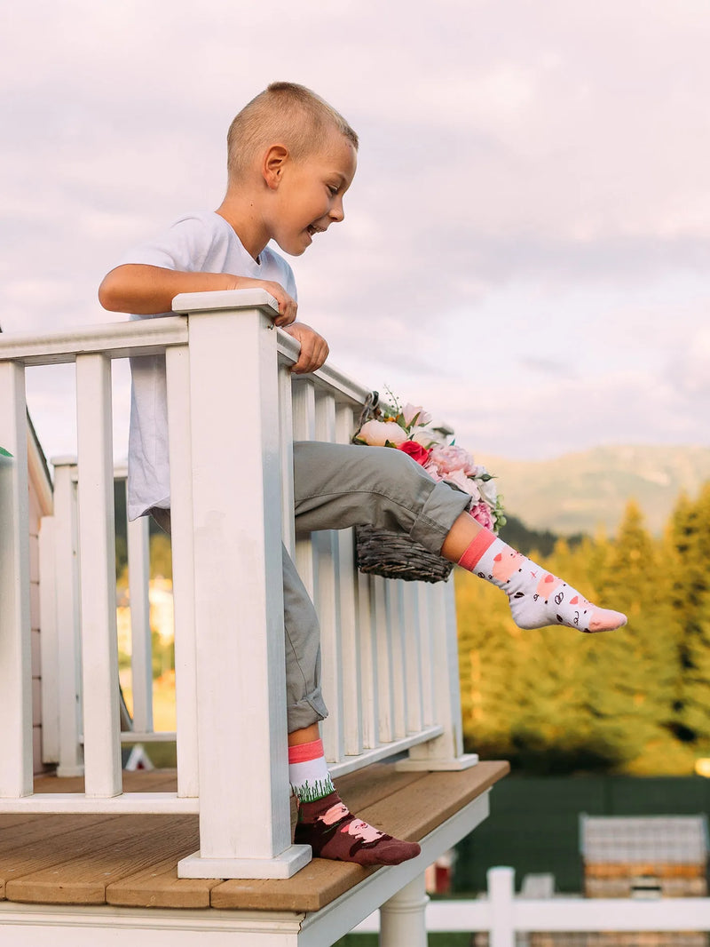 kids-socks-happy-pigs-f5/f5ceec30645006cd8f23853c63d47441ee6ce180