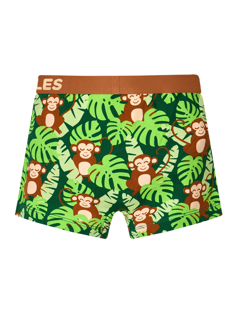 boys-boxers-little-monkey-f7/f753391a1d6c5fb37c0ca5c7835abf09379399c5
