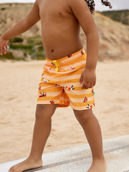 boys-swim-shorts-hamster-stripes-fc/fcb4dc952f329b64762a5962610f81276a0c3e57