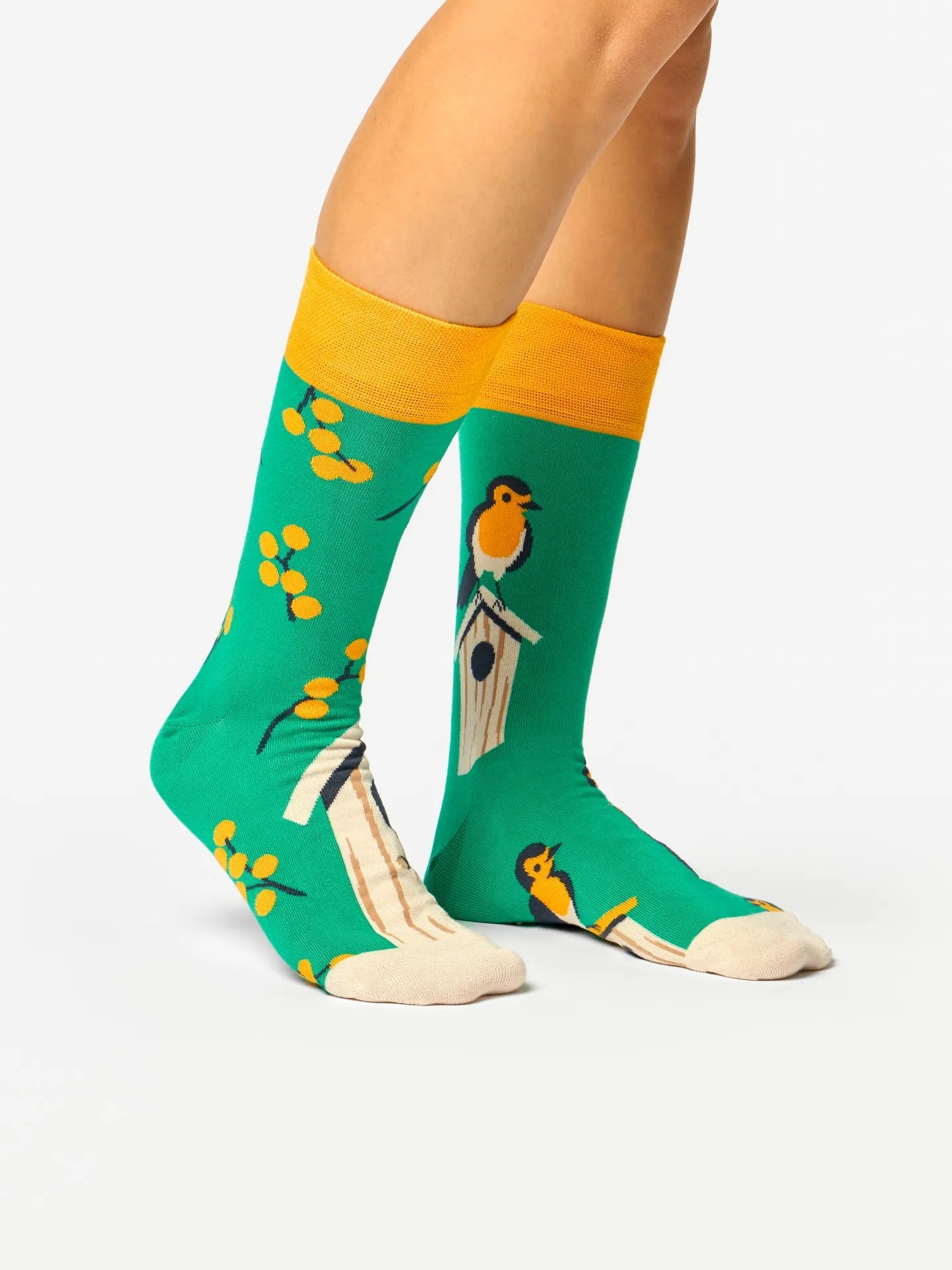 bamboo-regular-socks-birdhouse-02-ff/ff195dbaeff7dc209f8e7d254086e191e8098c9a