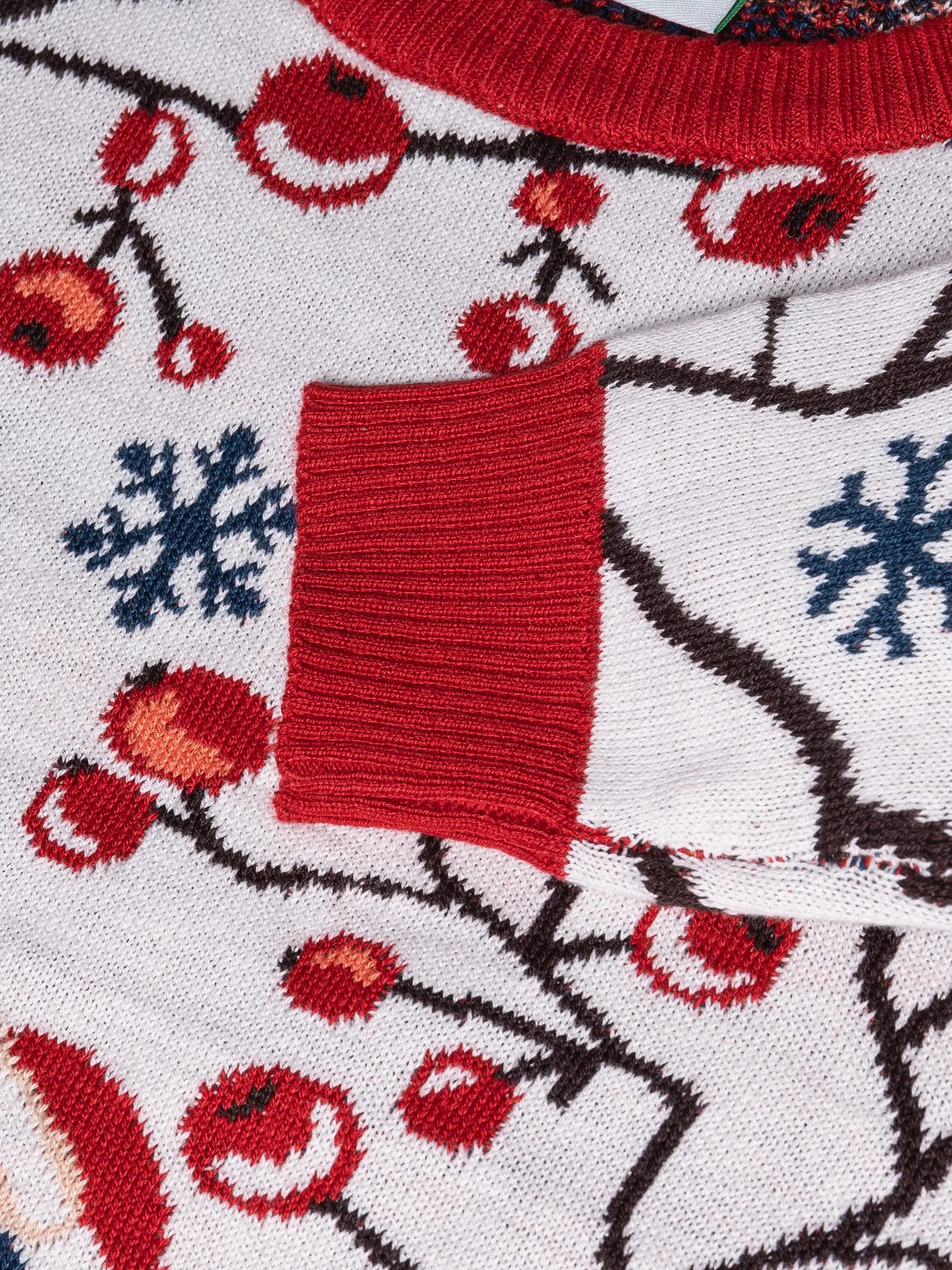 kids-winter-sweater-winter-berries-ff/ff3cd39108f840ab8729b765e705b3f28fd26c89